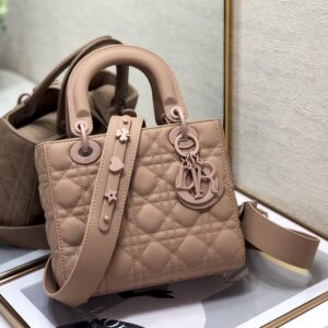 Lady Dior 20 Bag