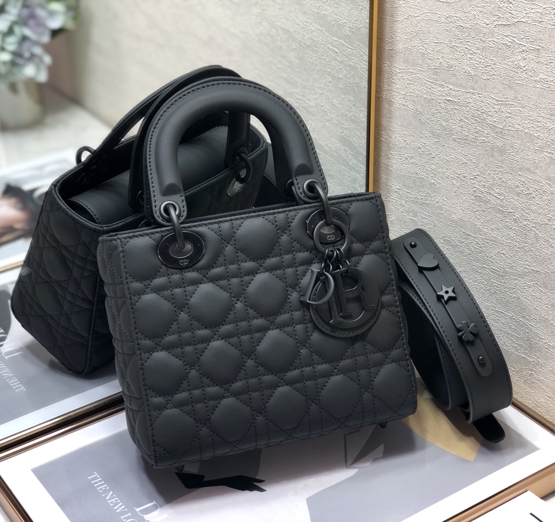 Lady Dior 20 Bag
