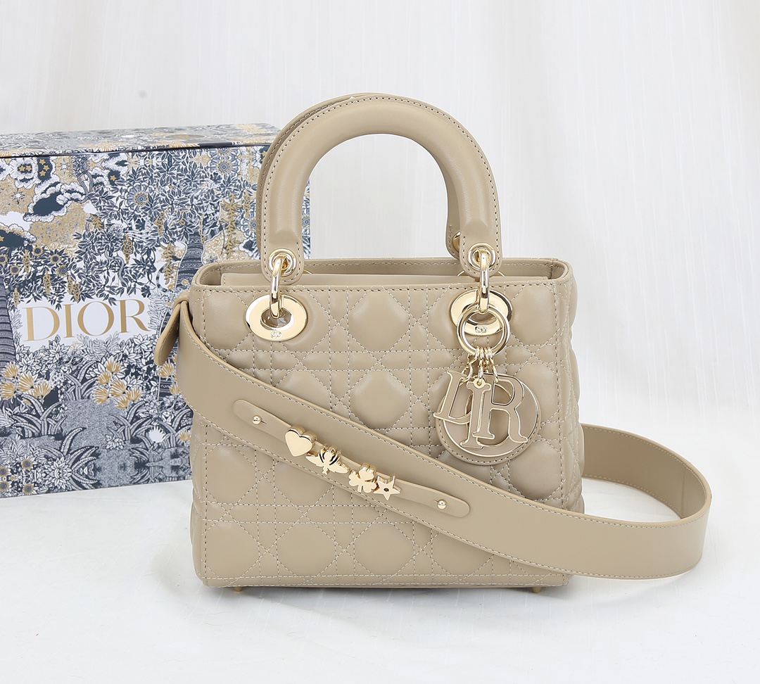 Lady Dior 1 Bag