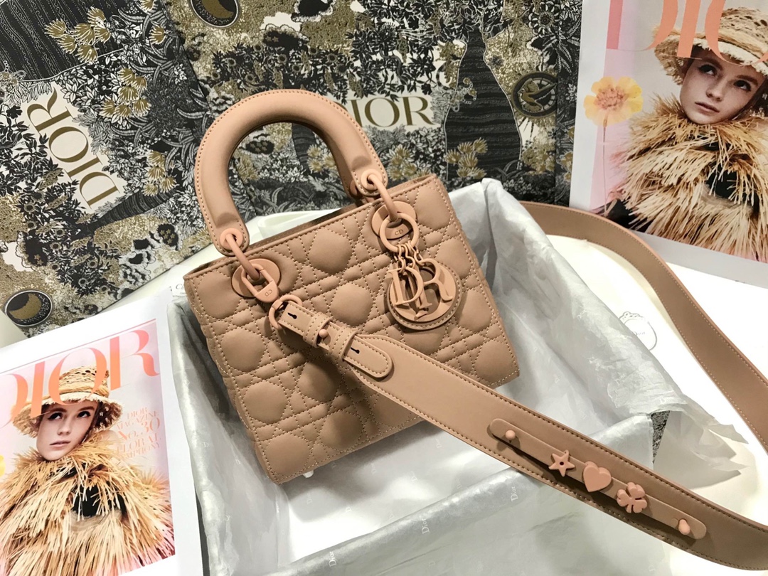 Lady Dior 6 Bag