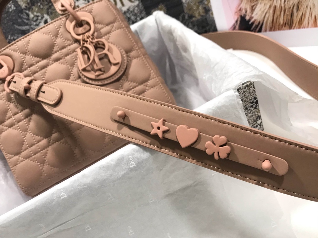 Lady Dior 6 Bag - Image 5