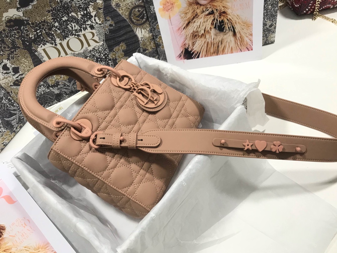 Lady Dior 6 Bag - Image 7