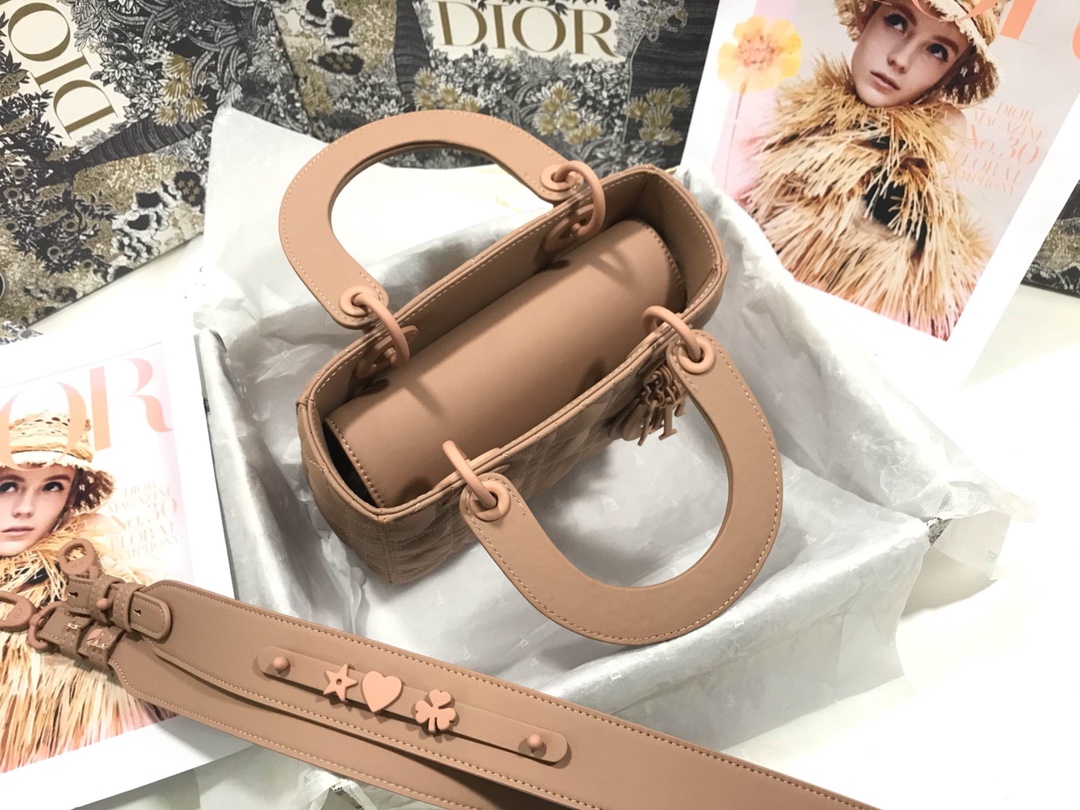 Lady Dior 6 Bag - Image 8