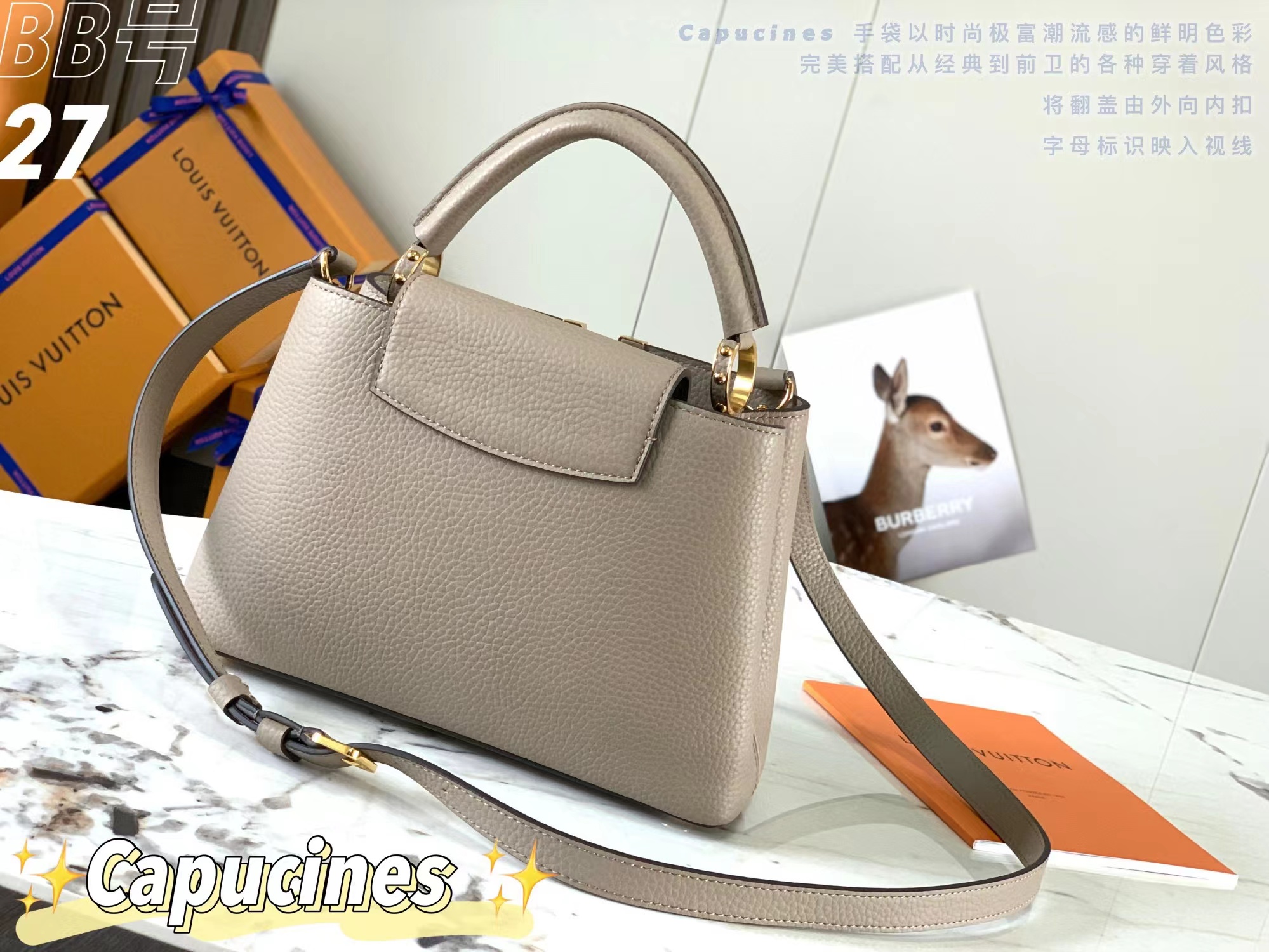 Louis Vuitton CAPUCINES BB Bag - Image 2