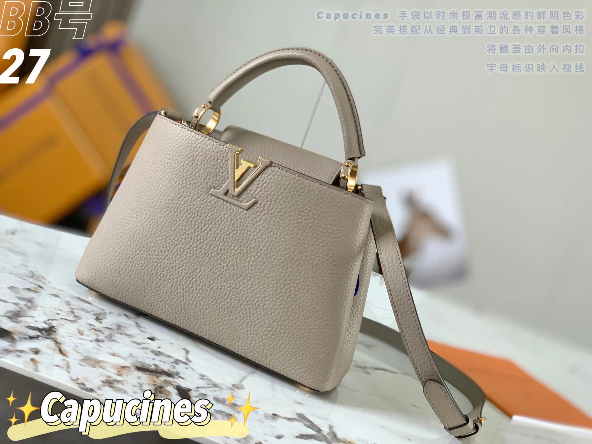 Louis Vuitton CAPUCINES BB Bag
