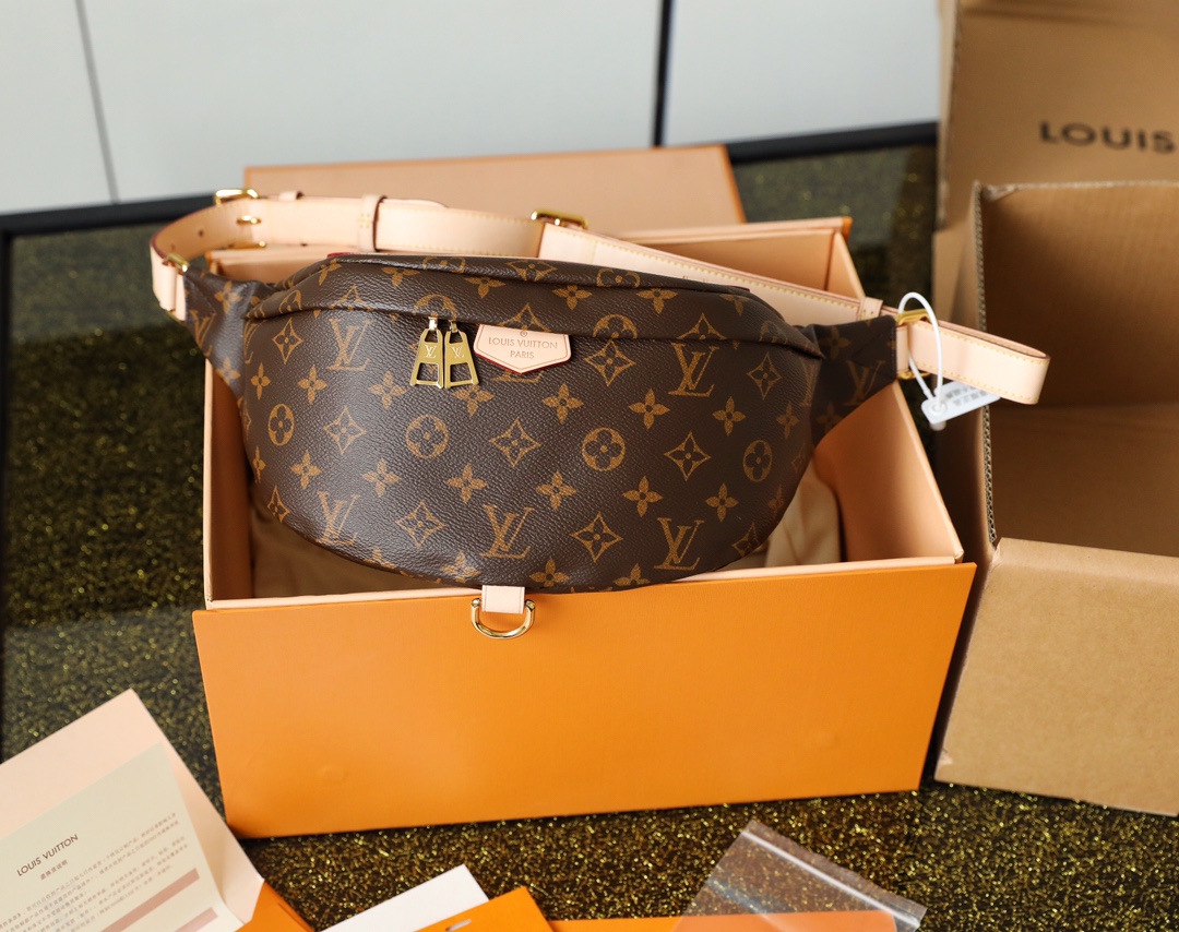 Louis Vuitton BUMBAG Bag