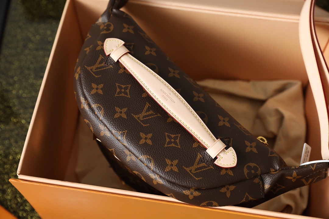 Louis Vuitton BUMBAG Bag - Image 2