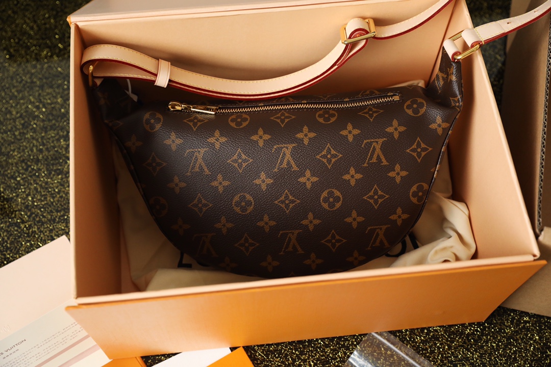 Louis Vuitton BUMBAG Bag - Image 3