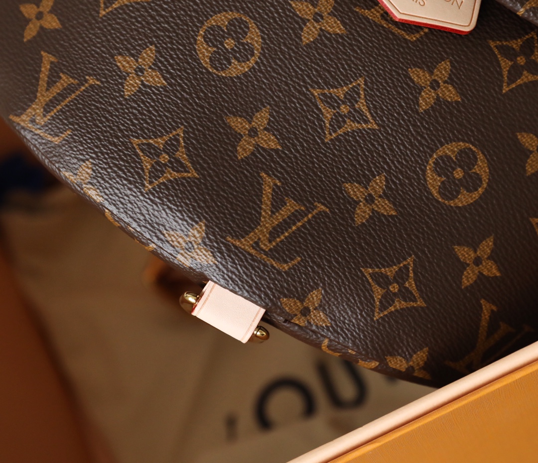 Louis Vuitton BUMBAG Bag - Image 5